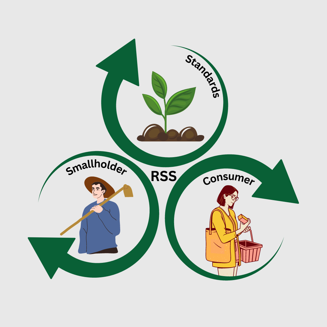 RSS Framework