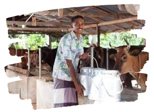 Giving a livelihood 
